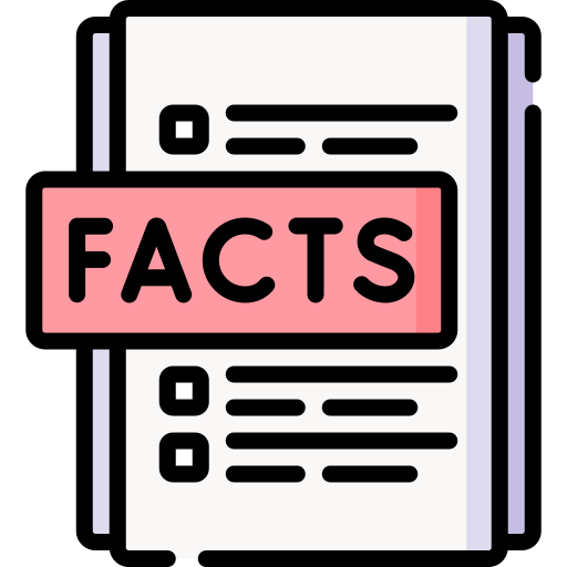 Facts Special Lineal color icon