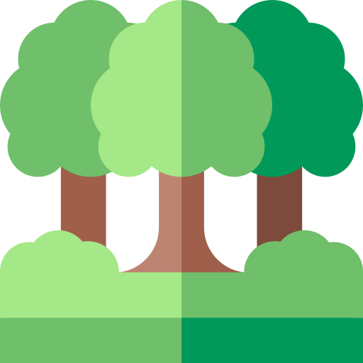 regenwoud Basic Straight Flat icoon