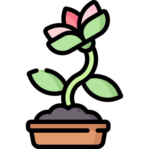 Sapling Special Lineal color icon