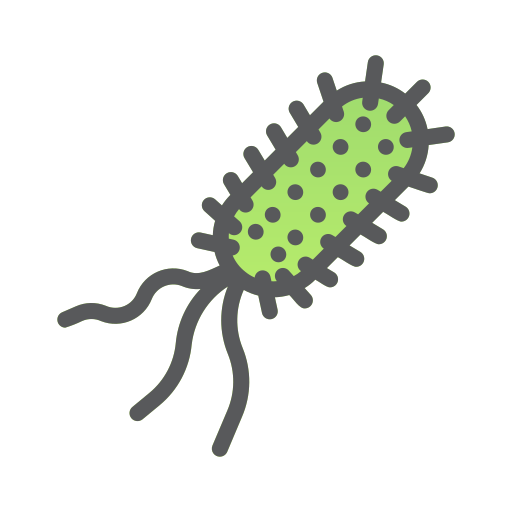 bacterias Generic Outline Color icono