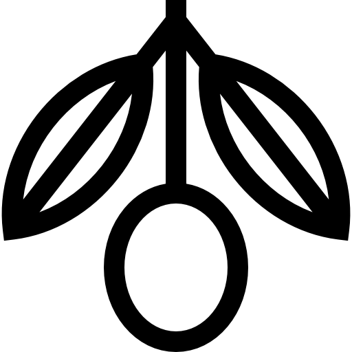 aceituna Basic Straight Lineal icono