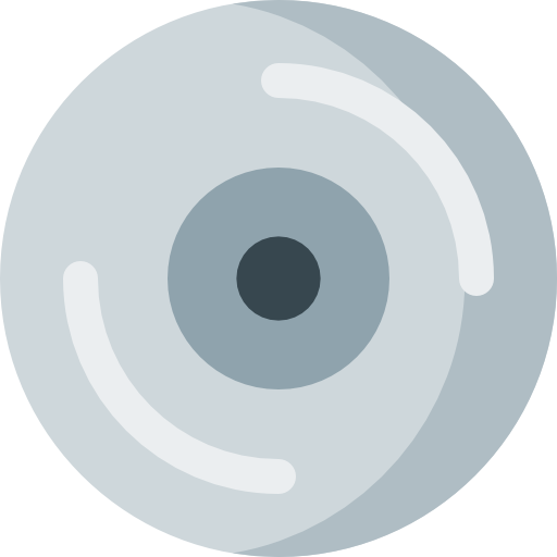 discos compactos Soodabeh Ami Flat icono
