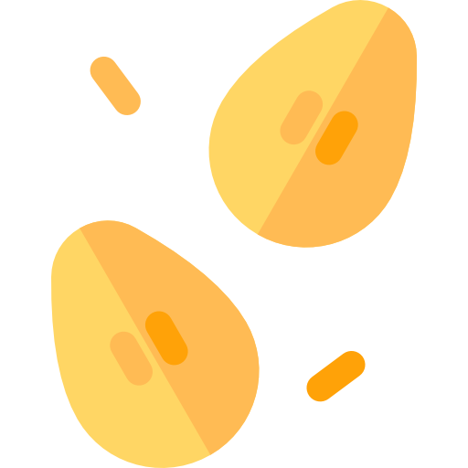 Seeds Basic Rounded Flat icon