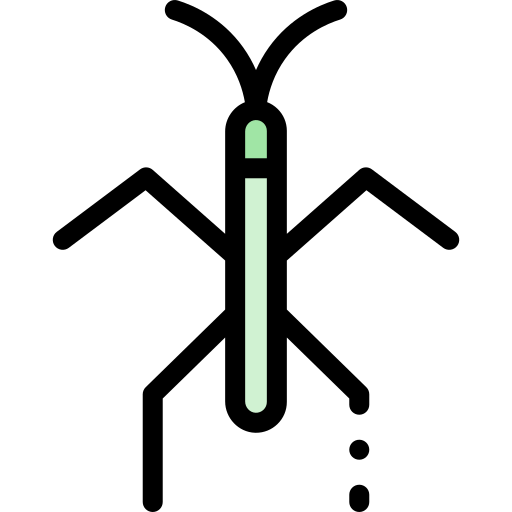 Stick bug Detailed Rounded Lineal color icon