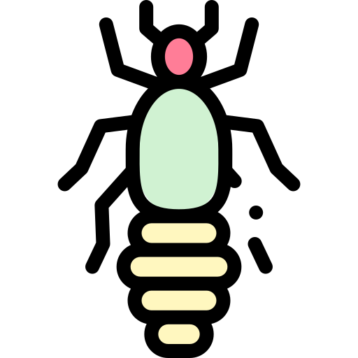 シラミ Detailed Rounded Lineal color icon