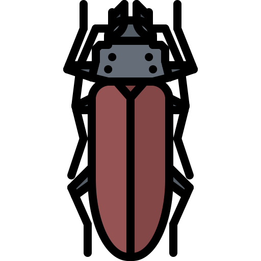käfer Coloring Color icon