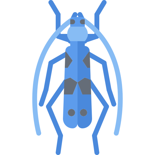 käfer Coloring Flat icon