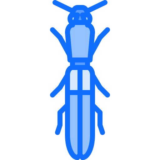 scarabée Coloring Blue Icône