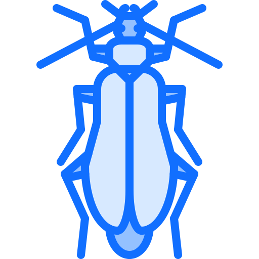 chrząszcz Coloring Blue ikona