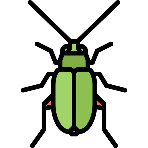 Beetle Coloring Color icon