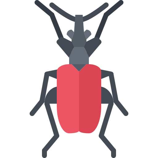 Beetle Coloring Flat icon