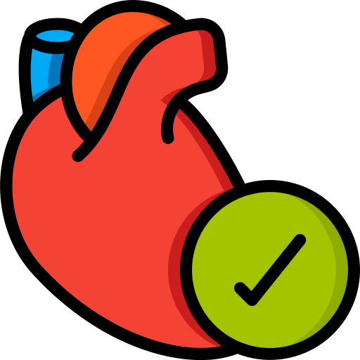 Healthy heart Basic Miscellany Lineal Color icon