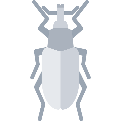 scarafaggio Coloring Flat icona