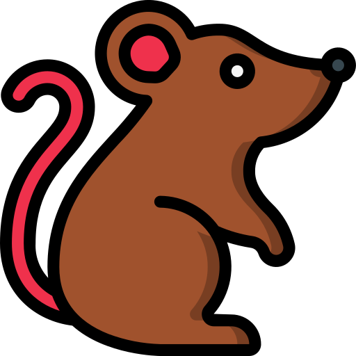 쥐 Basic Miscellany Lineal Color icon