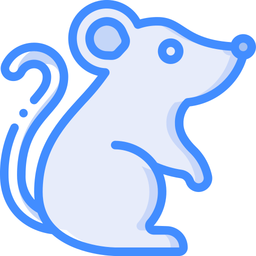 szczur Basic Miscellany Blue ikona