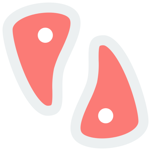 filetes Basic Miscellany Flat icono