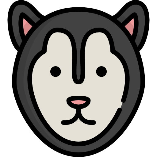 Siberian husky Special Lineal color icon