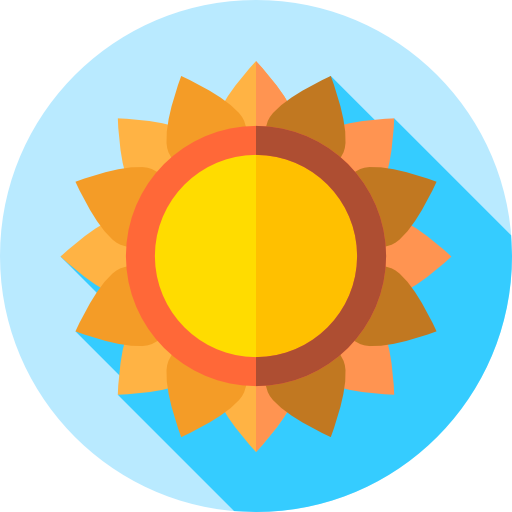 zon Flat Circular Flat icoon