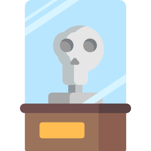 szkielet Special Flat ikona