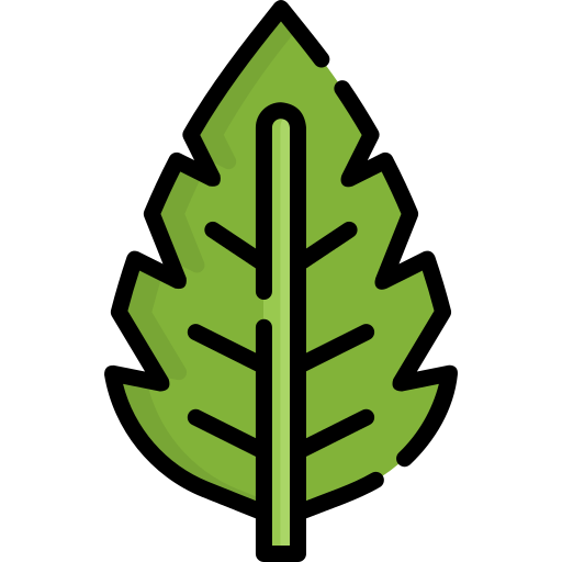 Leaf Special Lineal color icon