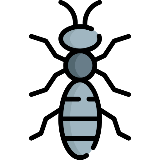 mrówka Special Lineal color ikona