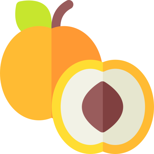 Apricot Basic Rounded Flat icon