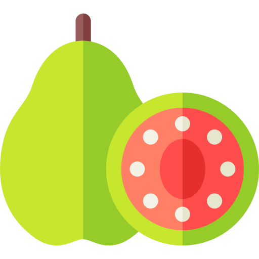 Guava Basic Rounded Flat icon