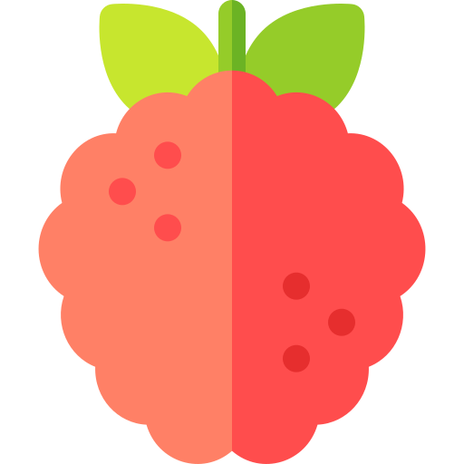 Raspberry Basic Rounded Flat icon