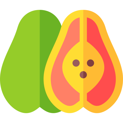 papaya Basic Rounded Flat icon