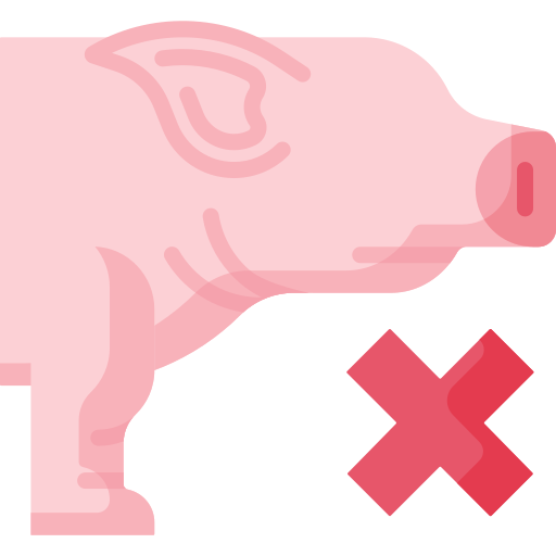 geen varken Special Flat icoon
