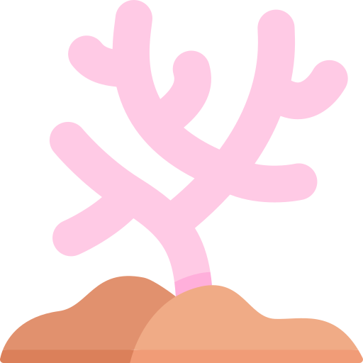 Coral Special Flat icon