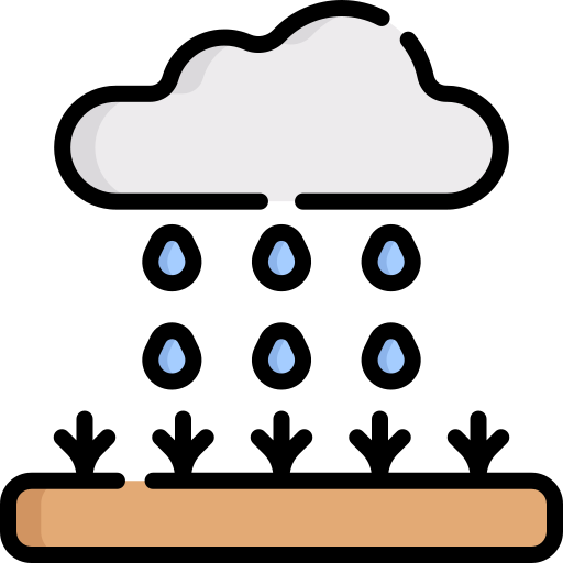 雨の Special Lineal color icon