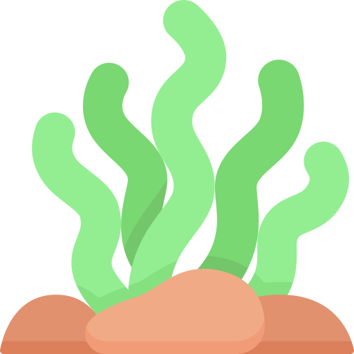 Морские водоросли Special Flat иконка
