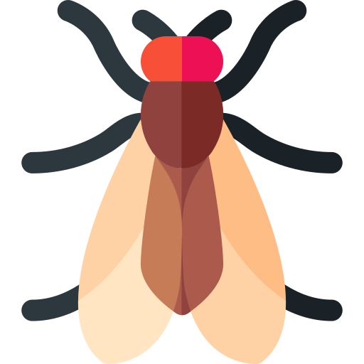 Плодовая муха Basic Rounded Flat иконка