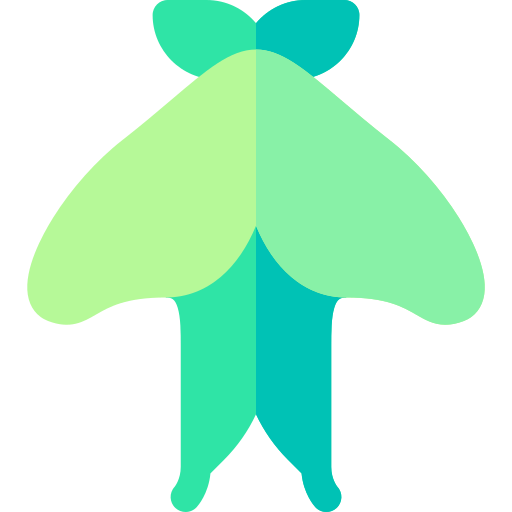 actias luna Basic Rounded Flat icon