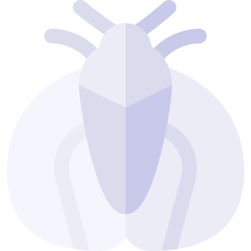 insekt Basic Rounded Flat icon