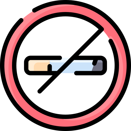 rauchen verboten Vitaliy Gorbachev Lineal Color icon