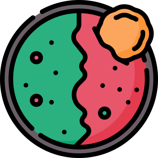 ewedu-suppe Special Lineal color icon