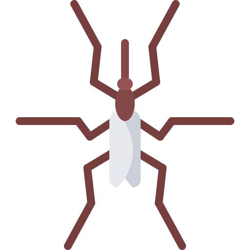 Mosquito Coloring Flat icon