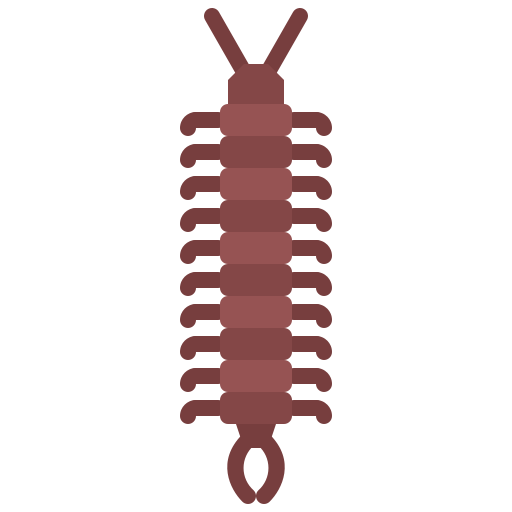 Centipede Coloring Flat icon