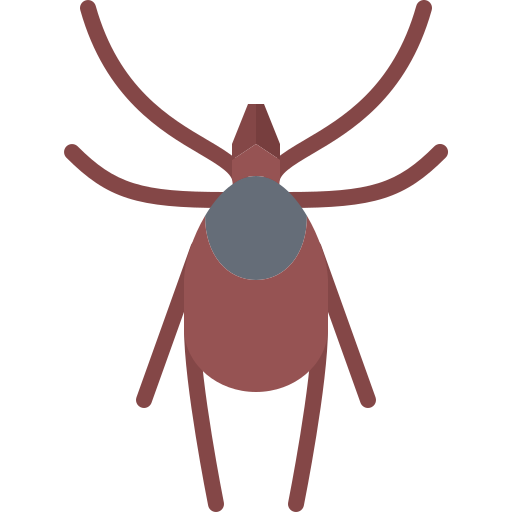Mite Coloring Flat icon