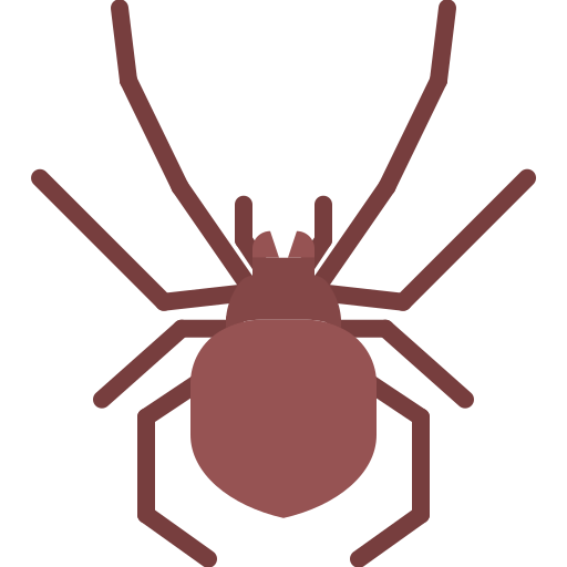 Spider Coloring Flat icon