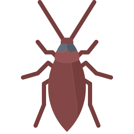 Cockroach Coloring Flat icon