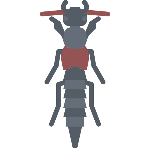 Bug Coloring Flat icon