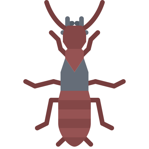 termite Coloring Flat icon