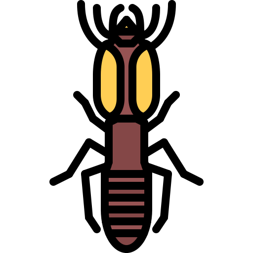 termite Coloring Color icon