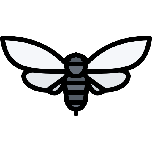 Bug Coloring Color icon