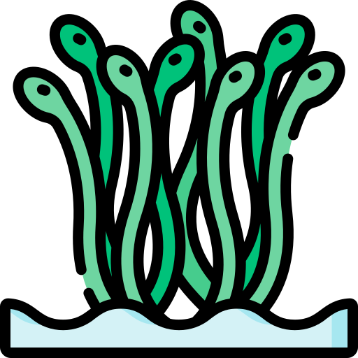 hydra Special Lineal color icon