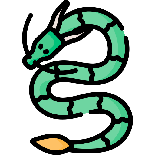Dragon Special Lineal color icon