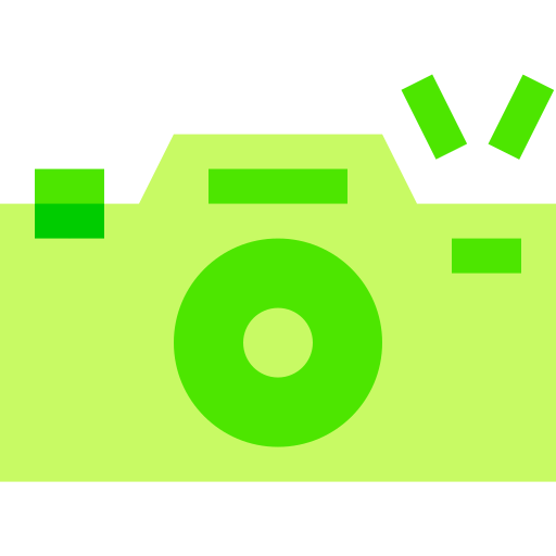 Камера Basic Sheer Flat иконка